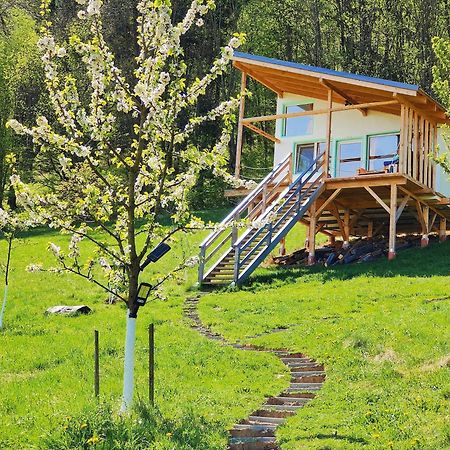 Rainbow Chalet Bran  Exteriér fotografie
