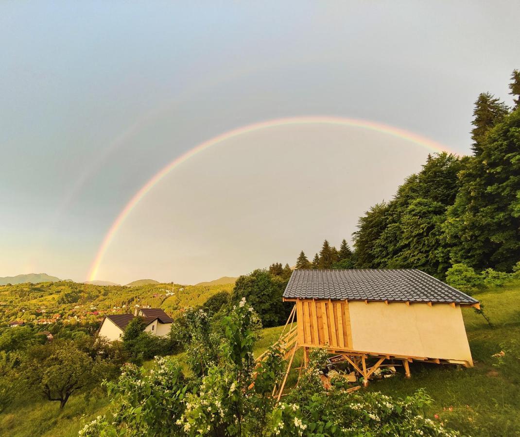 Rainbow Chalet Bran  Exteriér fotografie