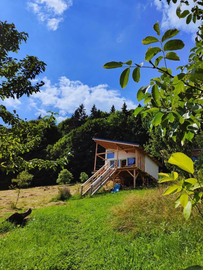 Rainbow Chalet Bran  Exteriér fotografie
