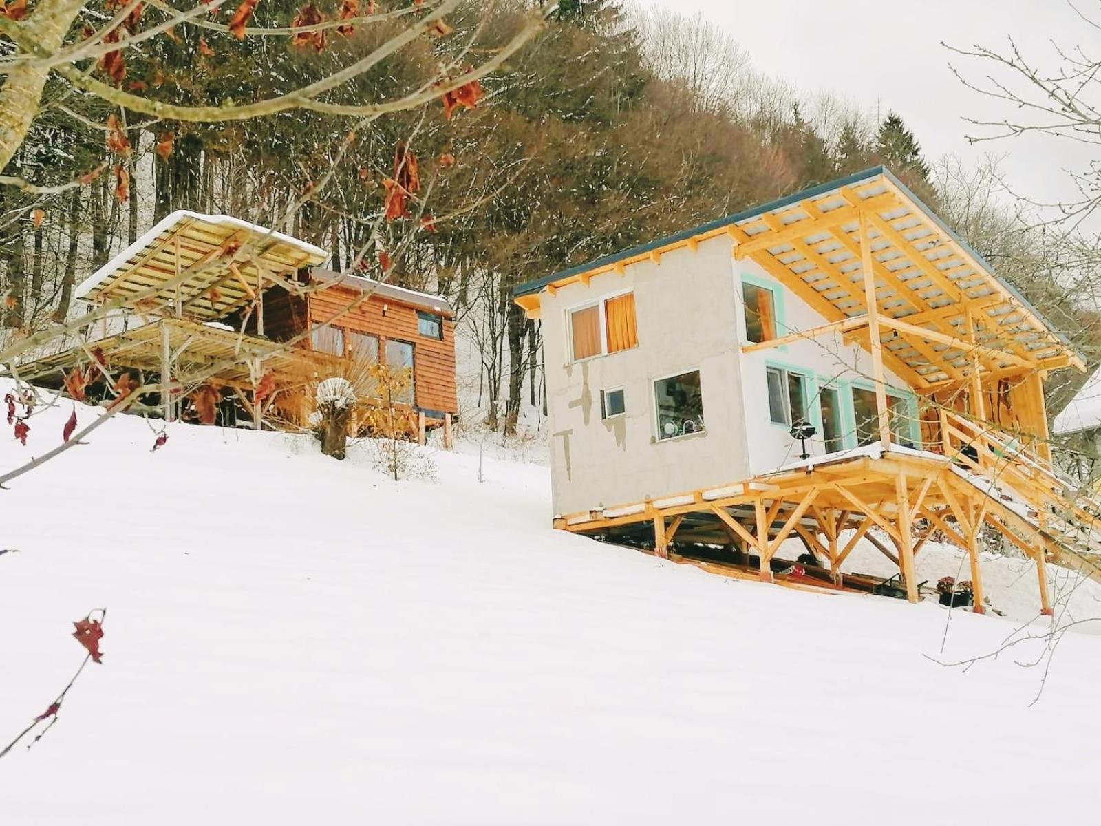 Rainbow Chalet Bran  Exteriér fotografie